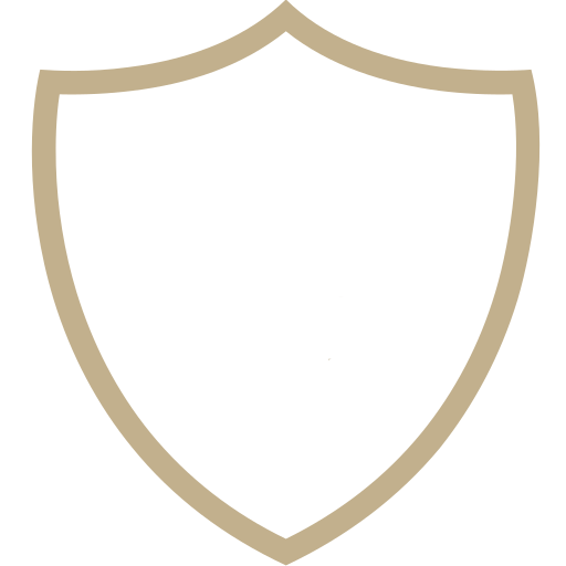 Stylized shield representing security and safety